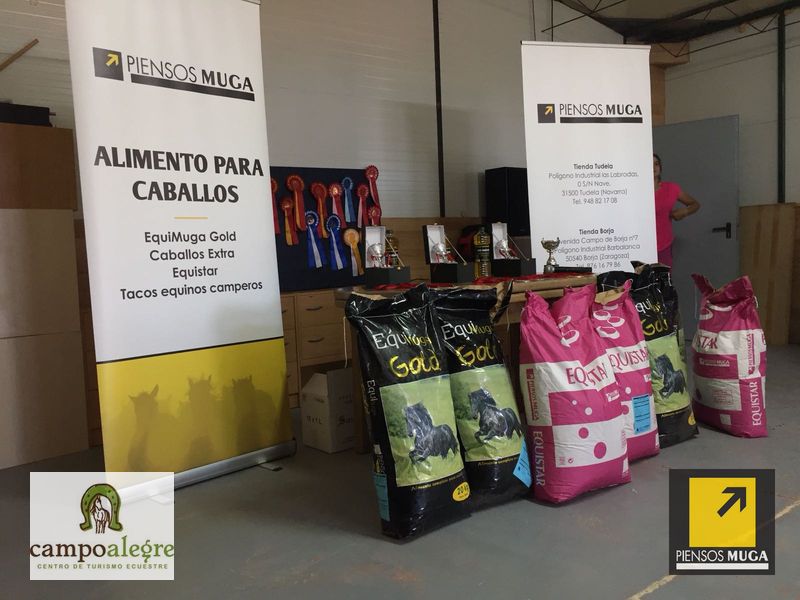 Resultados XVI. Raid "Campo Alegre" Campeonato Navarro